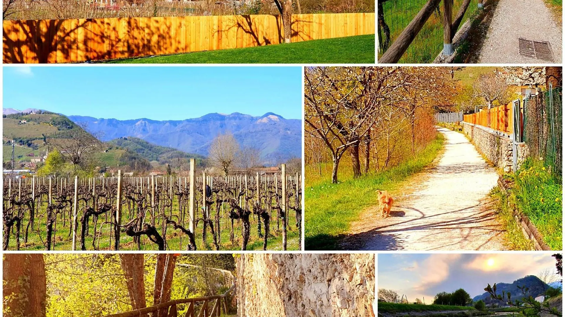 Casa Lorelein Pieve di Soligo 0*,